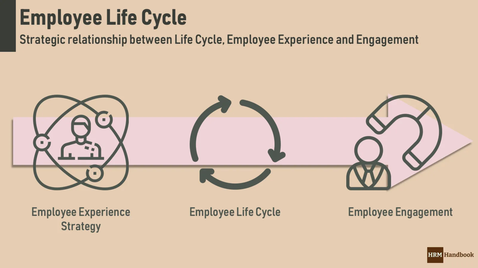The relationship between Employee Experience, Employee Life Cycle and Employee Engagement
