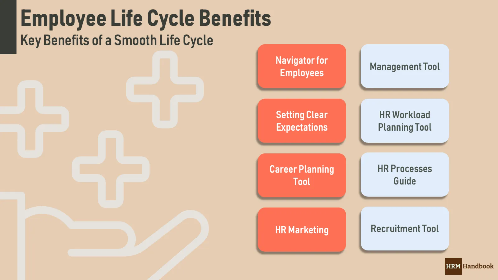 Employee Life Cycle: The Ultimate Guide for HR - AIHR