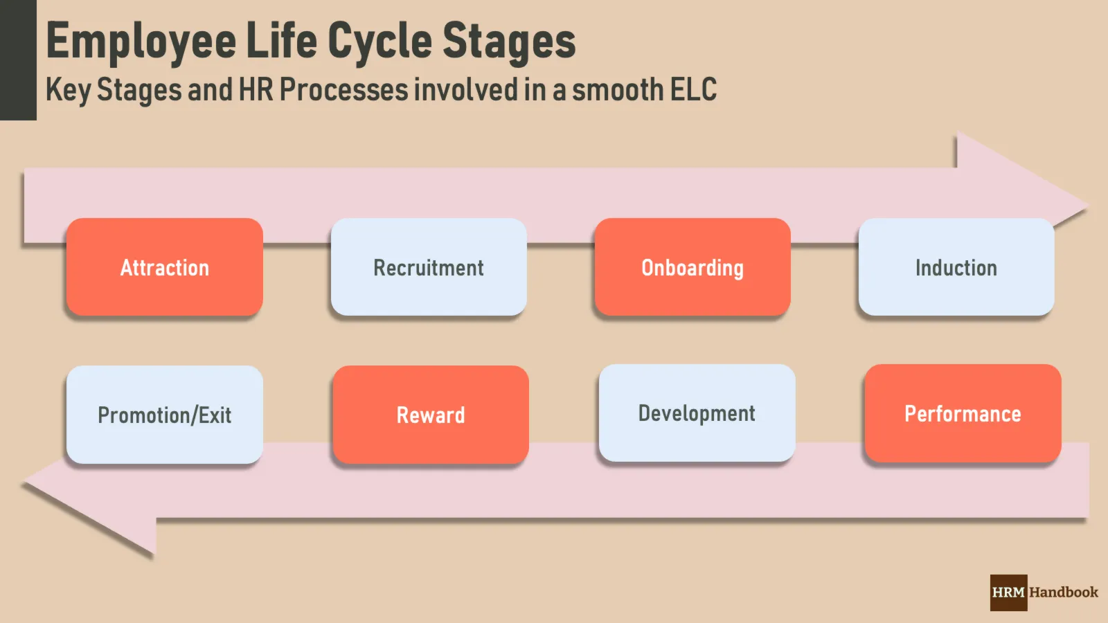 Most Common Employee Life Cycle Stages