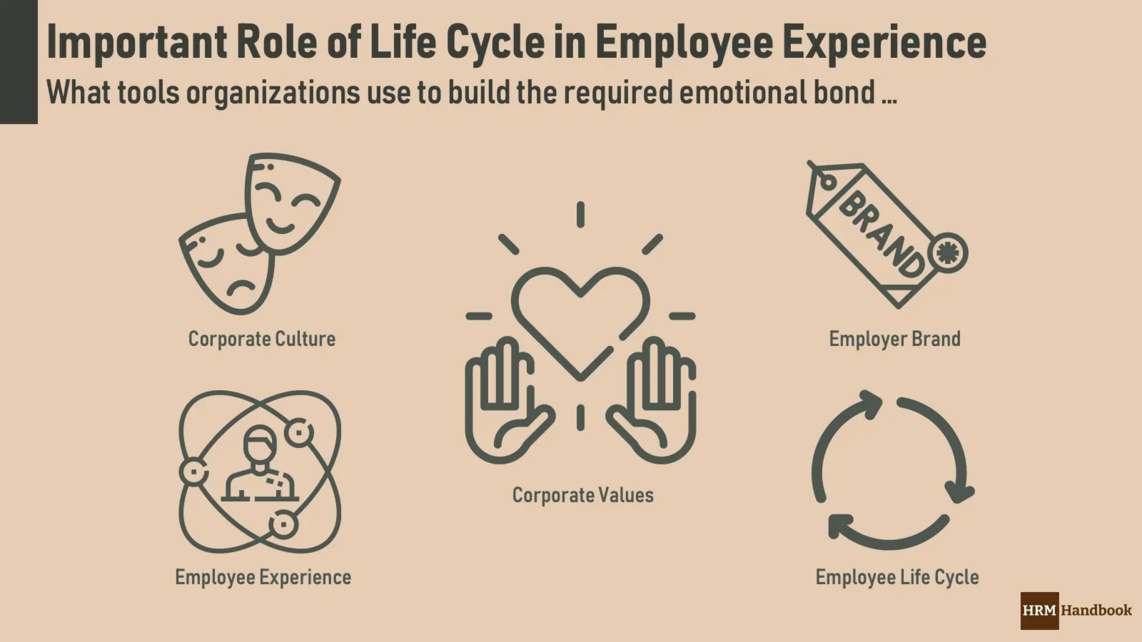 Employee Life Cycle: The Ultimate Guide for HR - AIHR