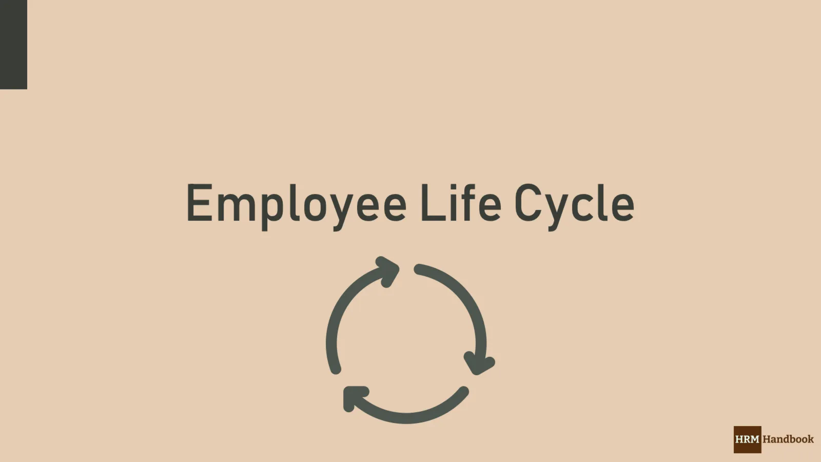 Employee Life Cycle In Organisation HRM Handbook